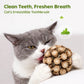 Matatabi Cat Toy Ball Teeth Cleaning Chew