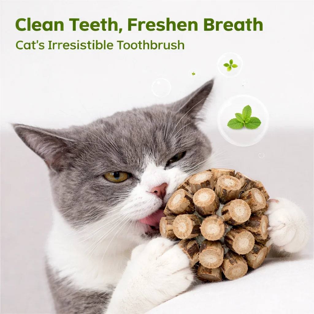 Matatabi Cat Toy Ball Teeth Cleaning Chew