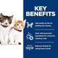Kitten Wet Cat Food Variety Pack 12 Cans