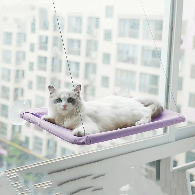 Hanging Window Cat Hammock Bed with Climbing Frame
