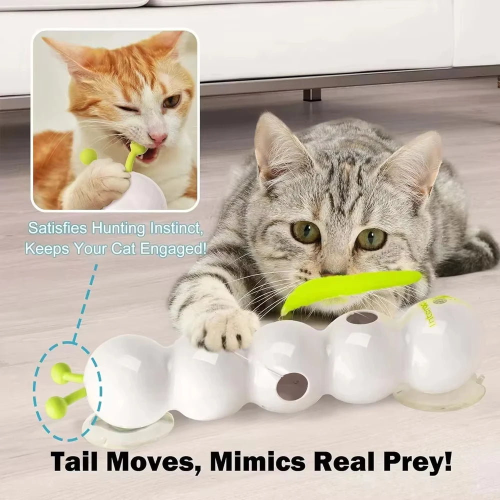 Rechargeable Motion Activated Caterpillar Interactive Cat Toy