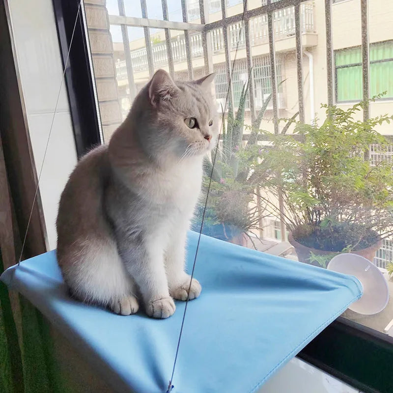 Hanging Window Cat Hammock Bed with Climbing Frame