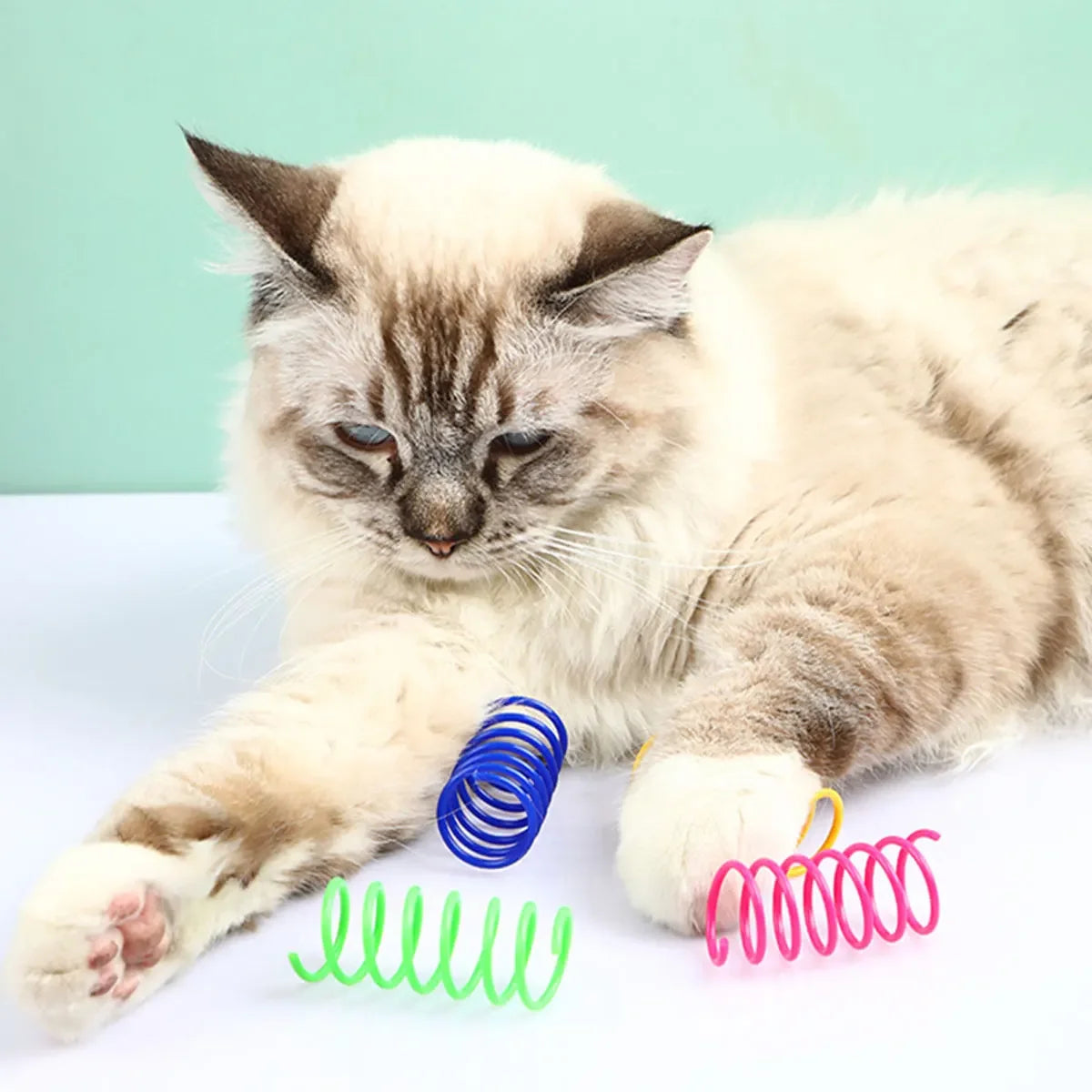 Colorful Cat Spring Toys Interactive Coil Set