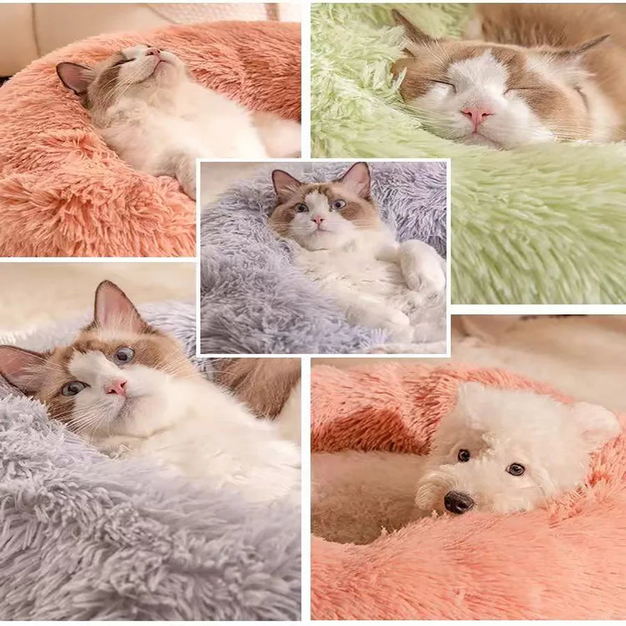 Soft Plush Donut Pet Bed for Dogs Cats