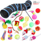 22-Pack Interactive Cat Toy Set with Tunnel Balls