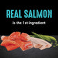 Grain-Free Salmon Ocean Fish Adult Dry Cat Food