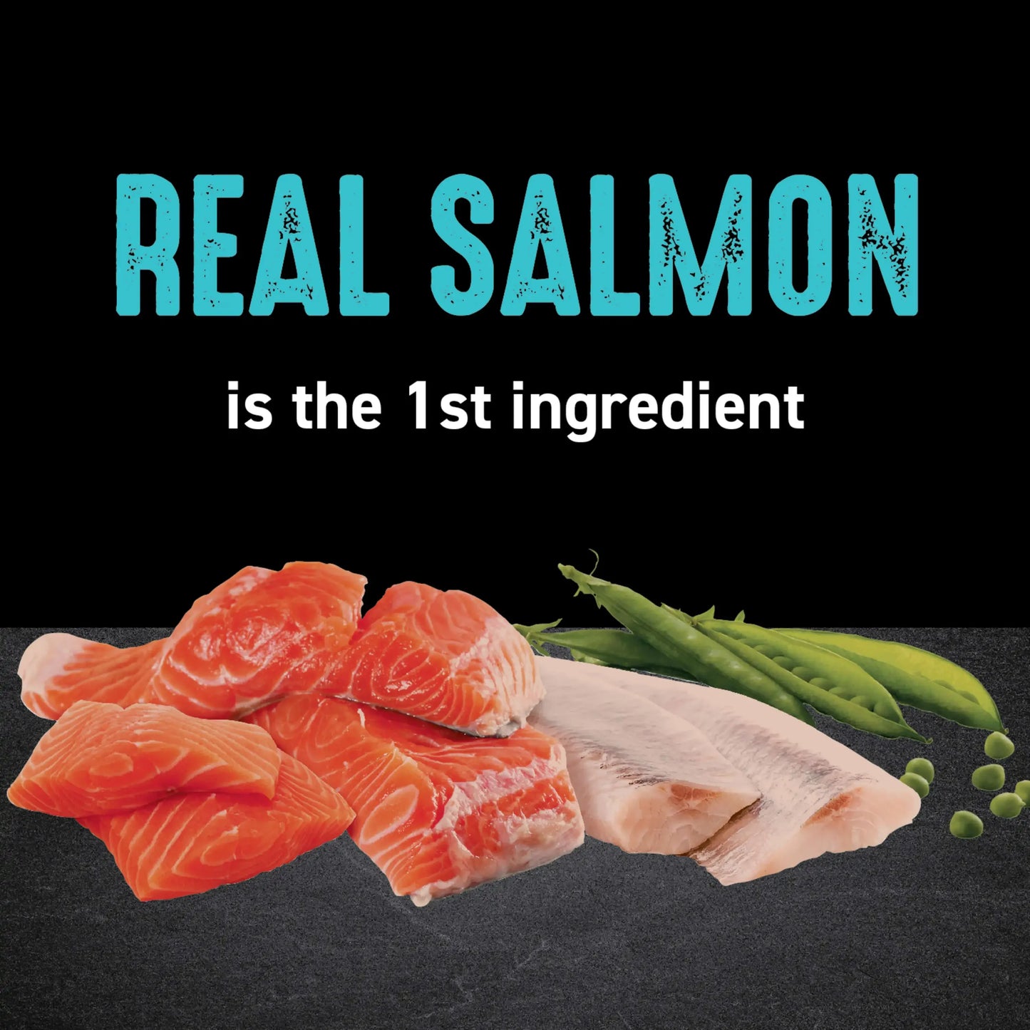 Grain-Free Salmon Ocean Fish Adult Dry Cat Food