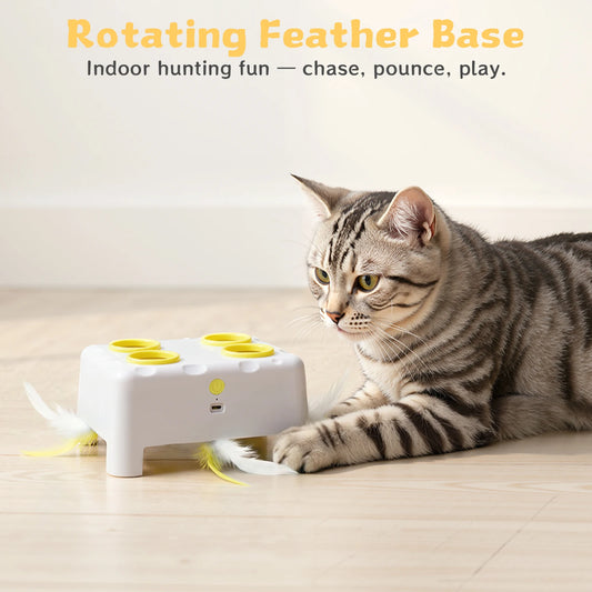 3-Mode Rechargeable Interactive Cat Toy with Feathers