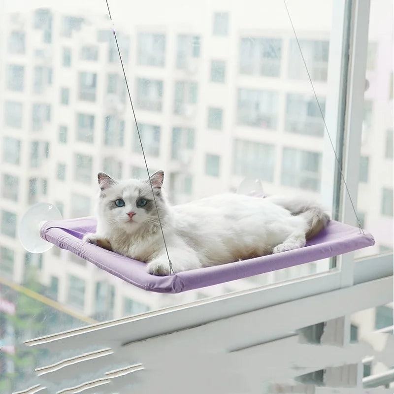 Hanging Window Cat Hammock Bed with Climbing Frame
