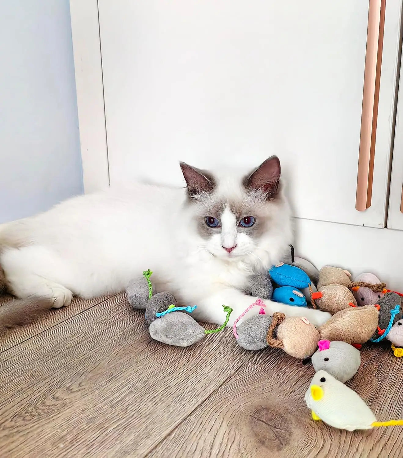 Catnip Rattle Mouse Toys for Interactive Indoor Cats