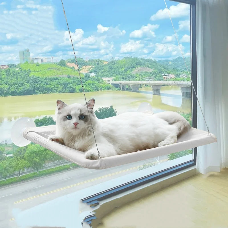 Hanging Window Cat Hammock Bed with Climbing Frame