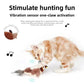 Electric Catnip Pat Bird Interactive Rechargeable Cat Toy
