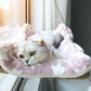 Hanging Window Cat Hammock Bed with Climbing Frame