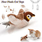 Electric Catnip Pat Bird Interactive Rechargeable Cat Toy