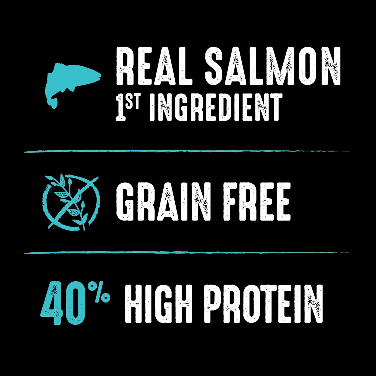Grain-Free Salmon Ocean Fish Adult Dry Cat Food