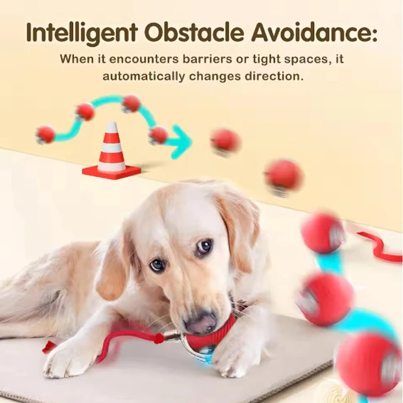 Smart Automatic Cat Ball Toy with Rope Features