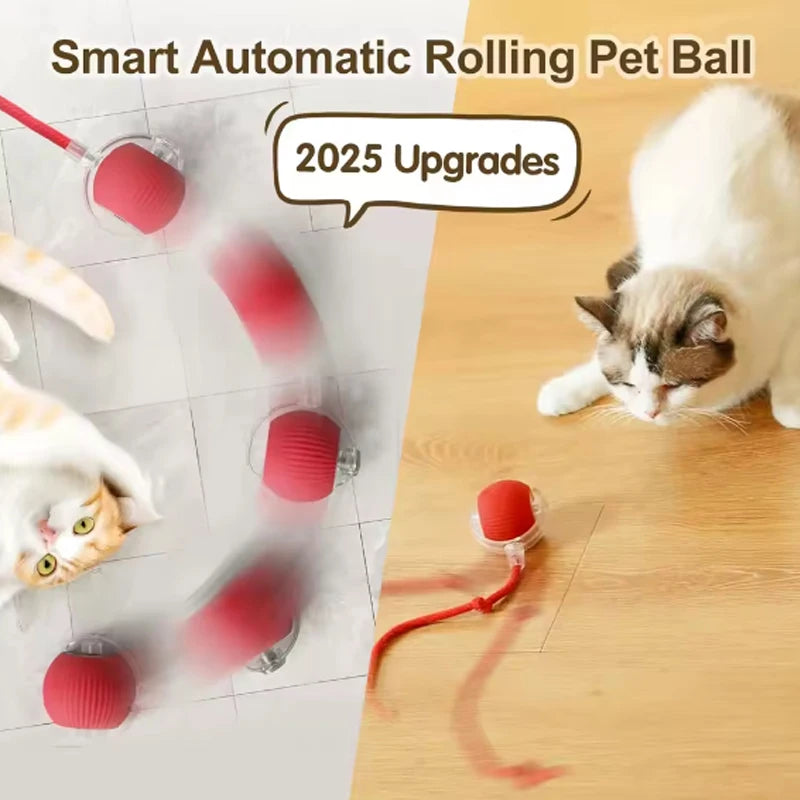 Smart Automatic Cat Ball Toy with Rope Features