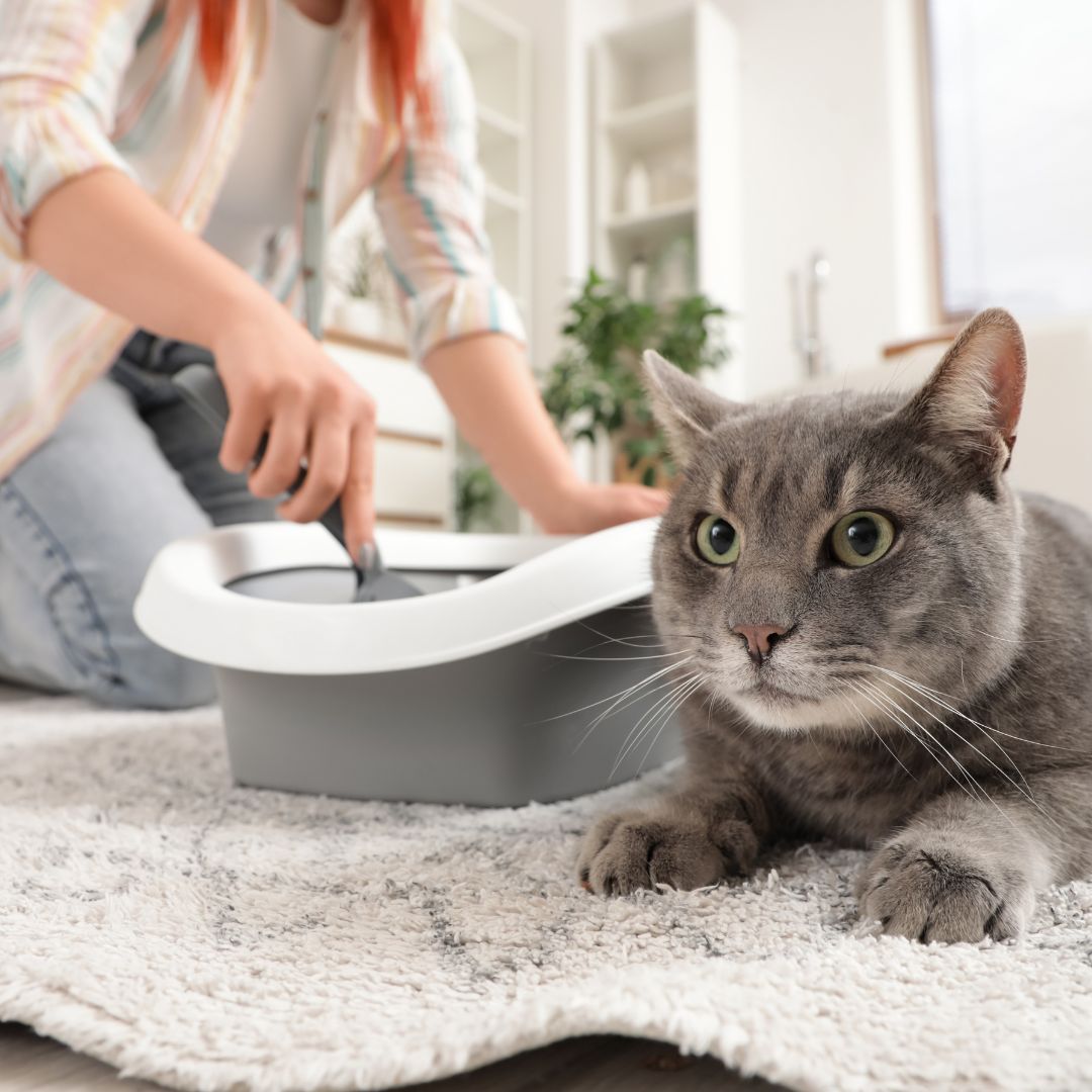 Want Cleaner Spaces?
