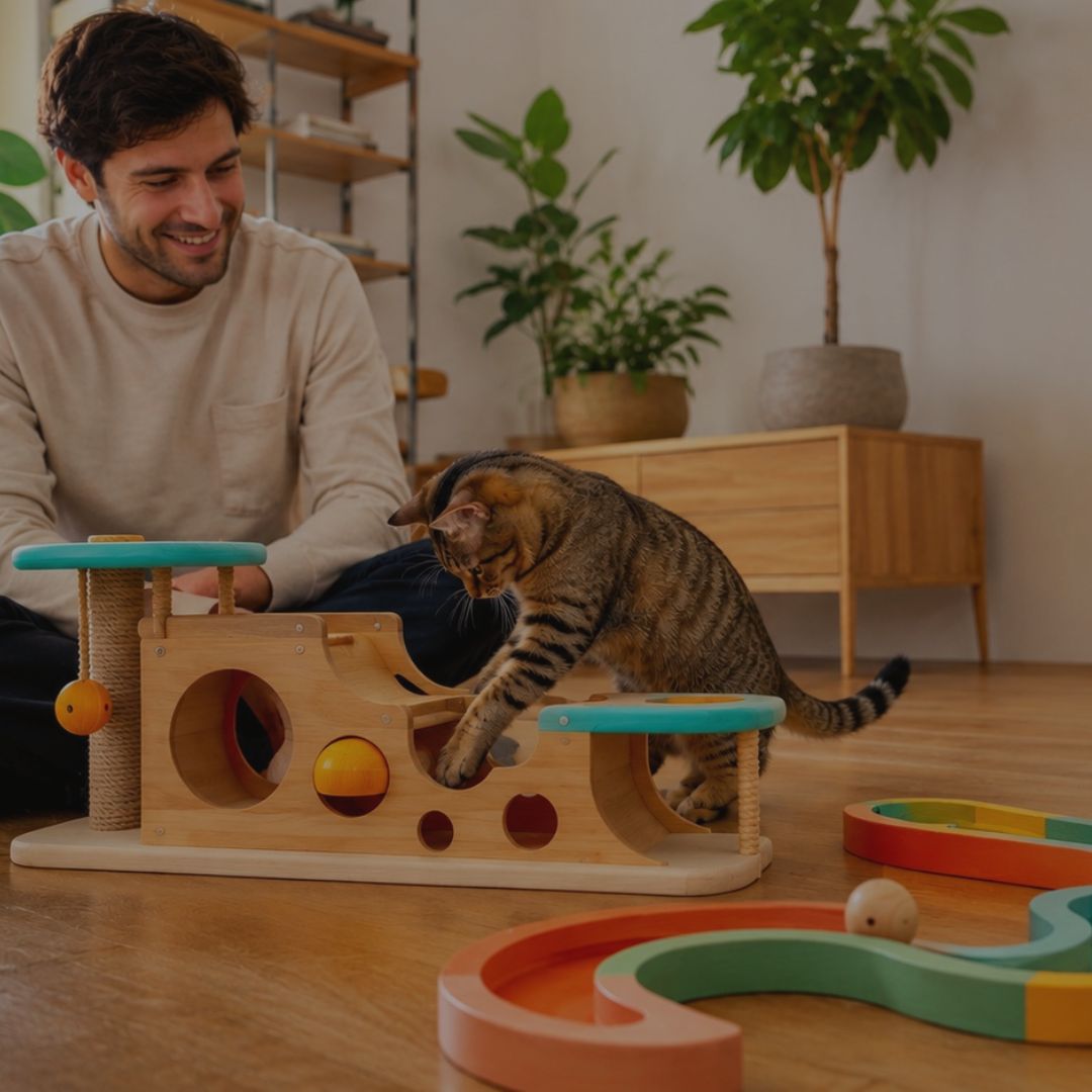Man playing with a cat on a wooden cat toy in a home setting