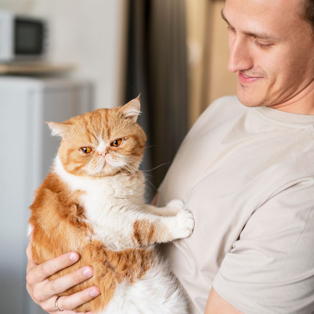 Man holding a fluffy orange and white cat indoors